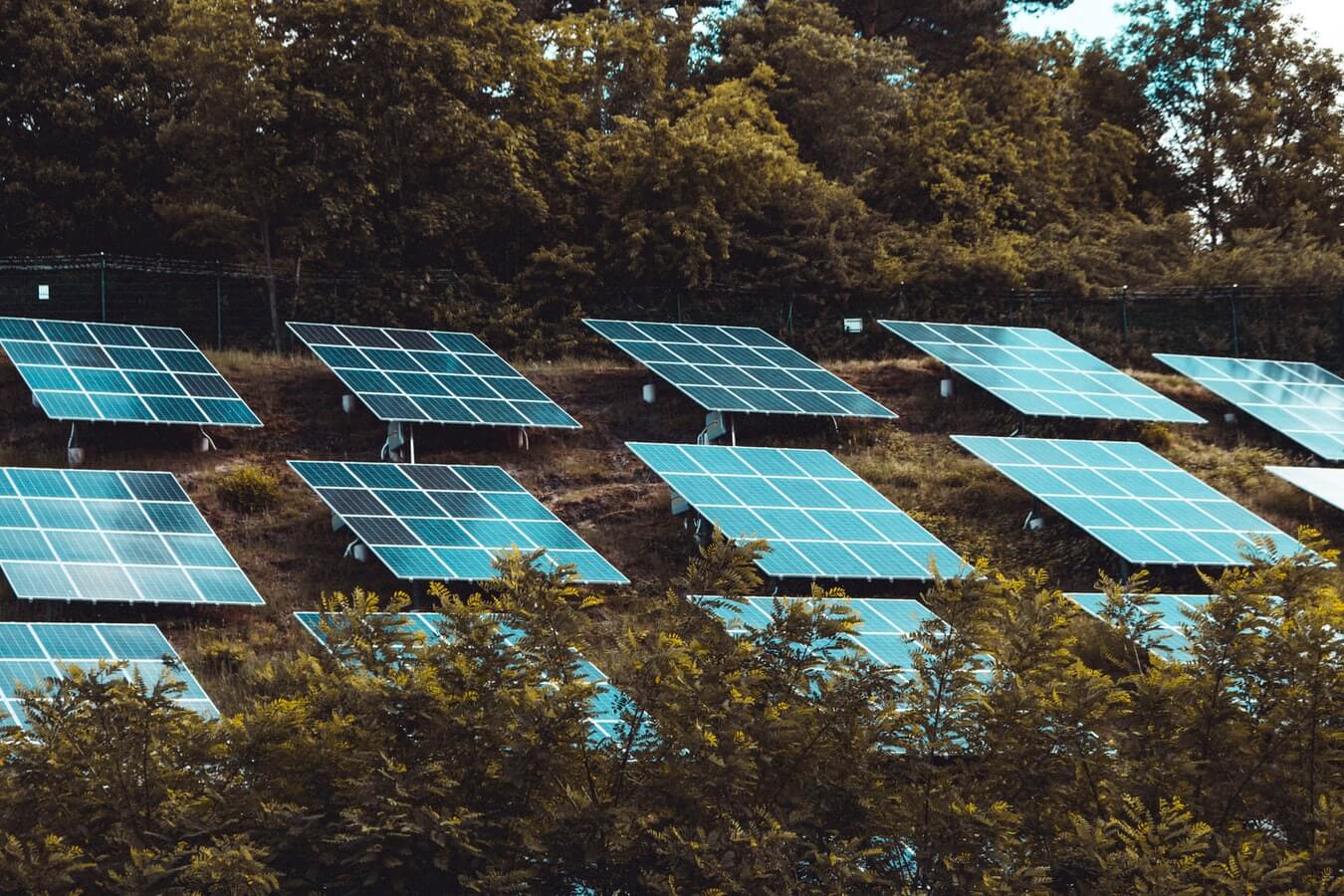 A commercial solar installation on a roof surrounded by trees