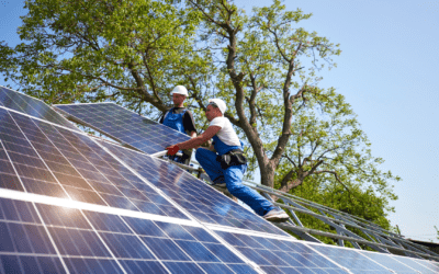 How to Find the Best Solar Companies in California